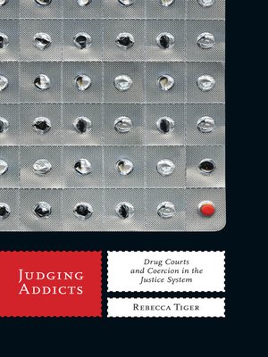 cover image of Judging Addicts